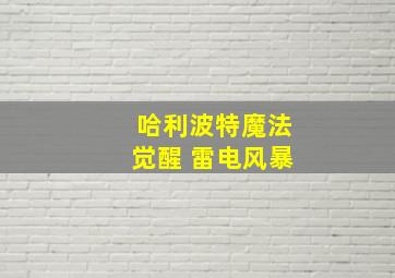 哈利波特魔法觉醒 雷电风暴